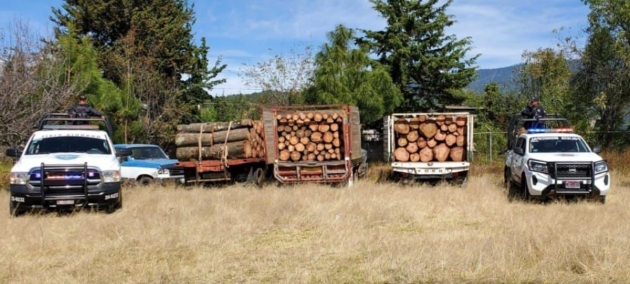 SSP asegura 3 vehículos cargados con madera presuntamente ilícita, en Ocampo 