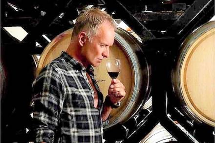 Sting el magnifico Artista planea Súper Producción de Sus Viñedos Italianos; su consagración como Viticultor 
