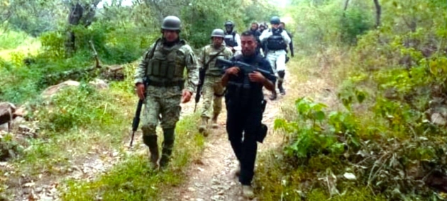Guardia Civil, Ejército y GN destruyen punto de -halconeo-  en Gabriel Zamora Michoacán   