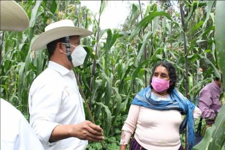 Consolidar el Programa de Agricultura Sustentable, meta 2021 en Michoacán 