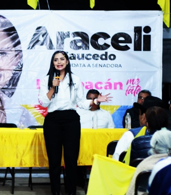 Nuestra apuesta es por la colectividad, por eso este proyecto común ¡va a ganar!: Araceli Saucedo   