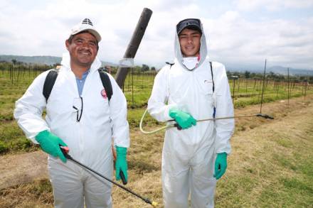 Crea Agricultura Sustentable nueva cultura de trabajo en el Campo Michoacano 