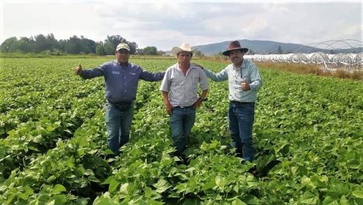 Agricultura Sustentable, es ya una política pública en Michoacán: Sedrua  