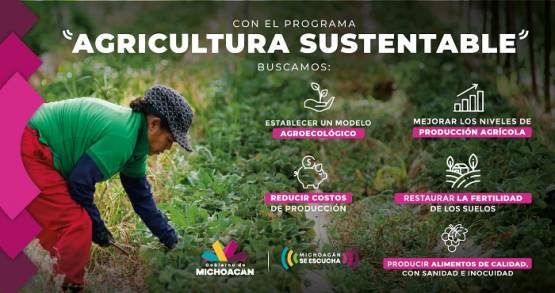 Concretó Sedrua 2 mil 796 obras rurales en Región Huetamo