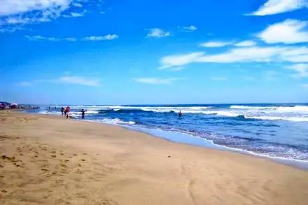 Gobierno y ciudadanía realizan limpieza de Playas de Michoacán en espera de mas Turistas esta Semana Santa 