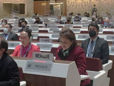 México participa en el Debate urgente sobre la situación de los derechos humanos en Ucrania en el Consejo de Derechos Humanos 
