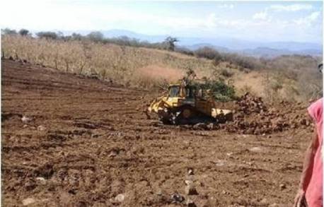 Rehabilita Gobierno de Michoacán 76 km de caminos saca cosechas en Churumuco