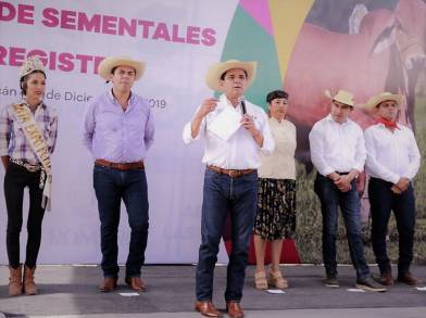 Fortaleceremos la ganadería en Huetamo: Gobernador de Michoacán 