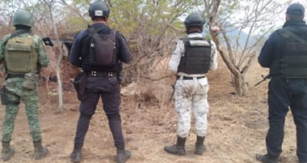  SSP, Sedena y GN desmantelan campamento clandestino y decomisan municiones en Apatzingán 