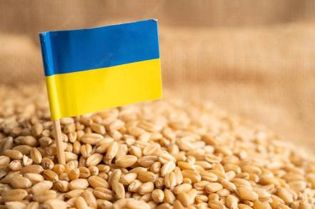Ucrania y Rusia firman un acuerdo alentador  para exportar Cereales Ucranianos 
